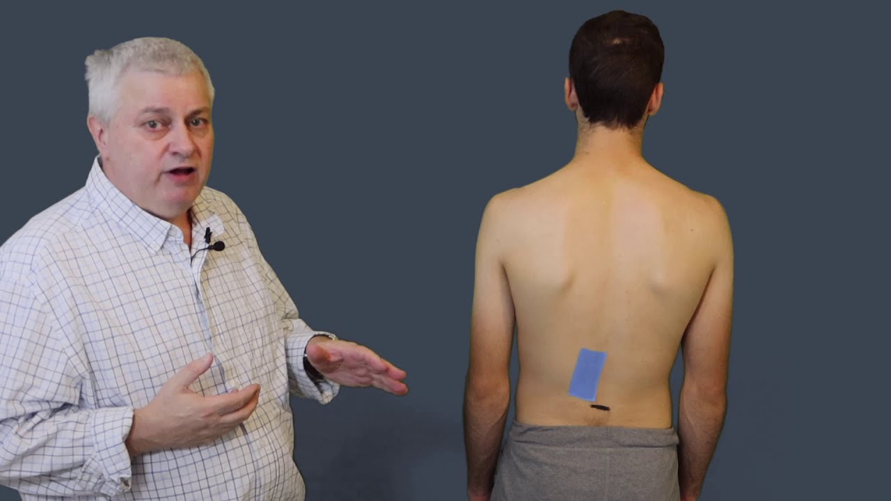 Lumbar Back Pain | Assessment Tips | Tutorial