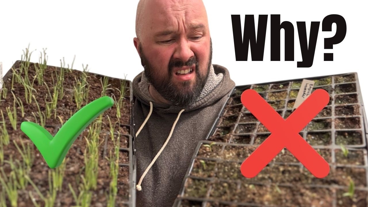 Why My Peppers FAILED But My Onions THRIVED 🌱 Seed Starting Wins & Losses!