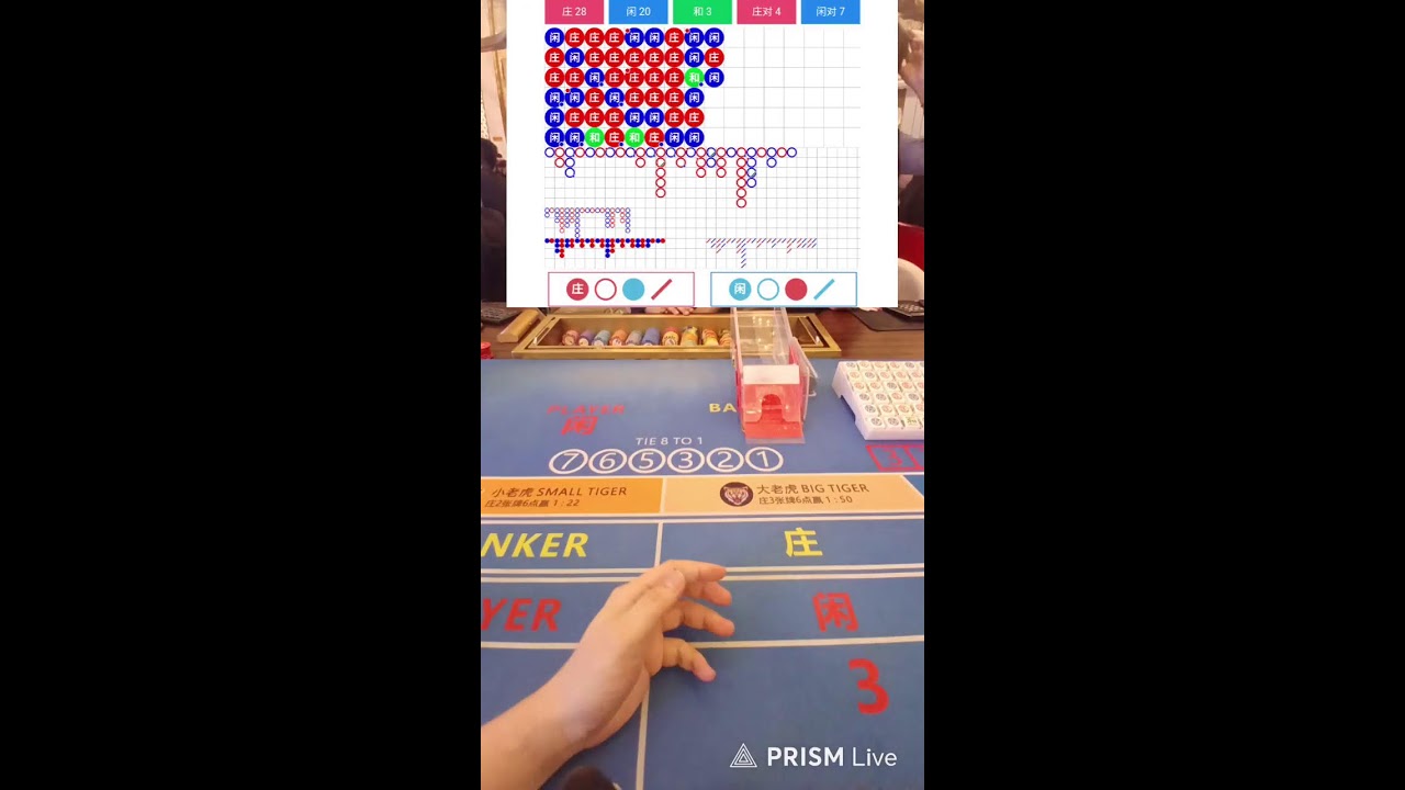 찐용 #고실장 라이브 실시간 배팅