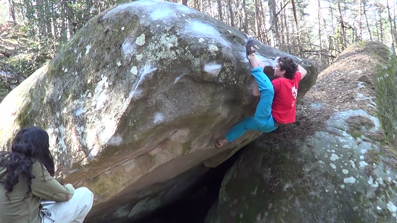 L'Insoutenable Légèreté de l'Être, 8b. Fontainebleau
