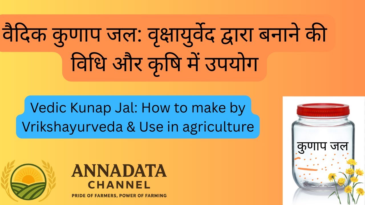 वैदिक कुणाप जल: वृक्षायुर्वेद द्वारा बनाने की विधि और कृषि में उपयोग (Kunap Jal: Vrikshayurveda)