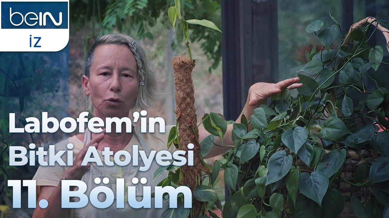Labofem'in Bitki Atölyesi 11. Bölüm
