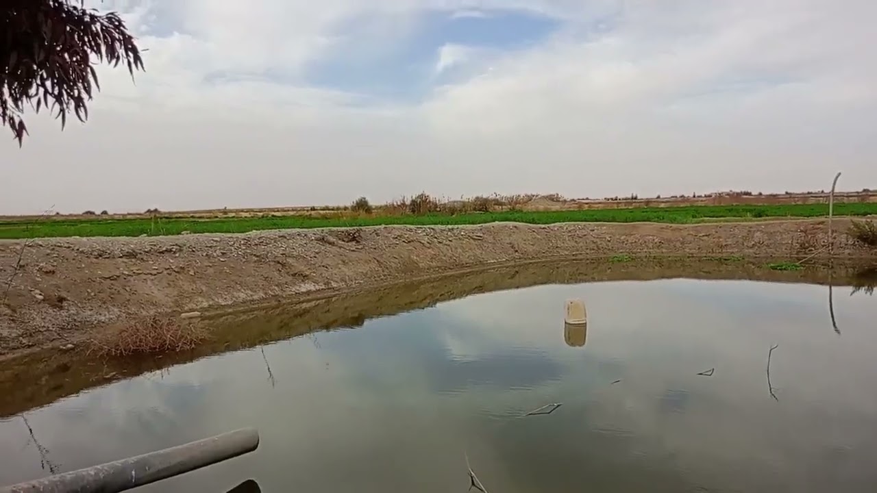 الوادي الجديد الفرافرة القعدة ع البركة 01122474189