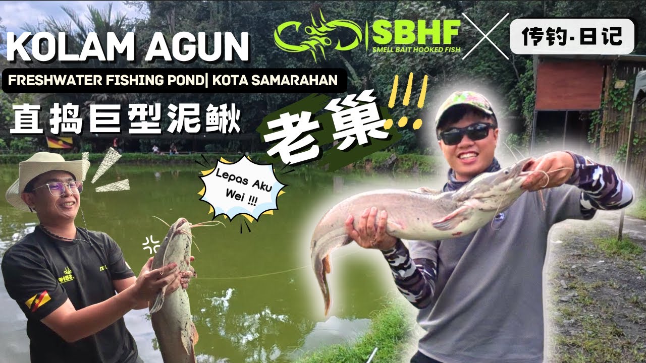 【传钓·日记】Ep.13 | 直搞巨型泥鳅老巢！！！ Mancing IKAN KELI Gogon di Kolam Agun!!!