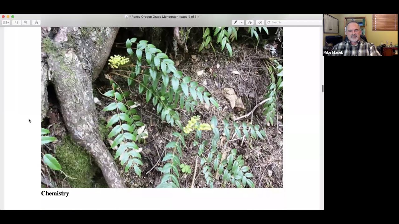 The Role of Monographs in Herbal Medicine