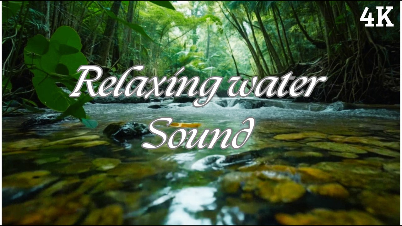 Tropical River Sounds 🌿 Crystal Clear Stream & Big Boulders (Sleep/Study)