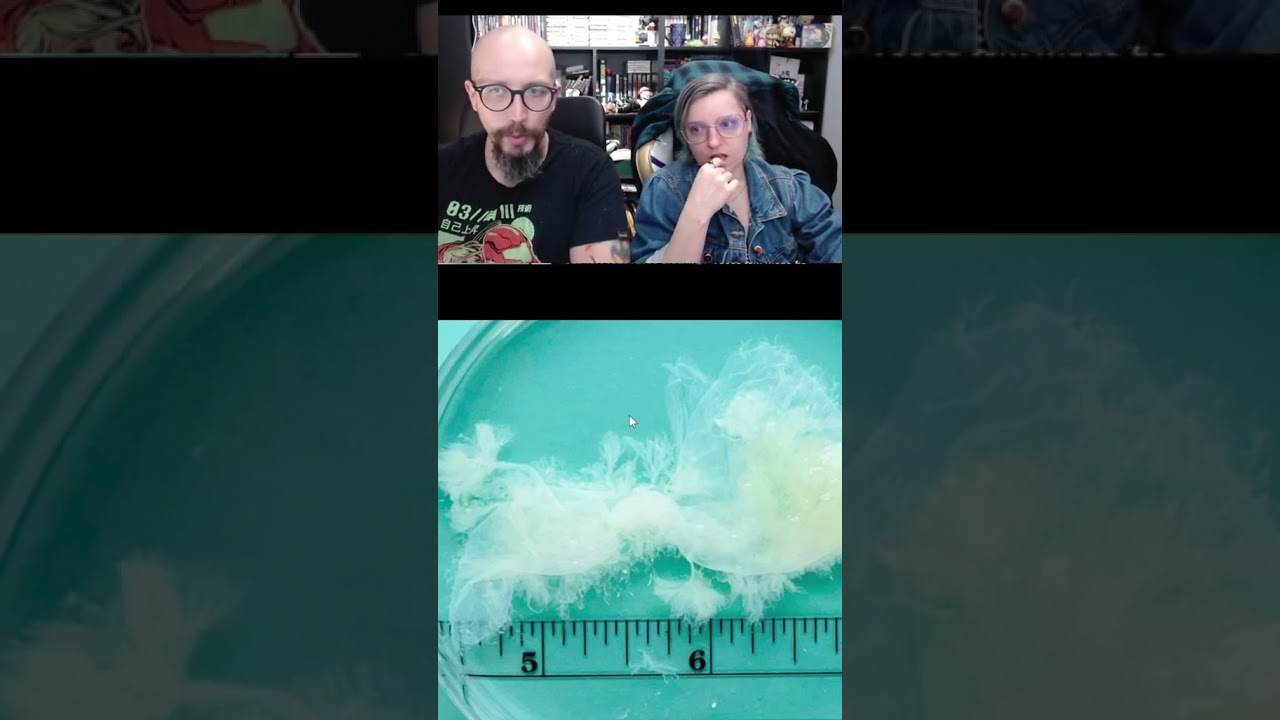 SER VIVO &Eacute; UMA VIDA HUMANA?