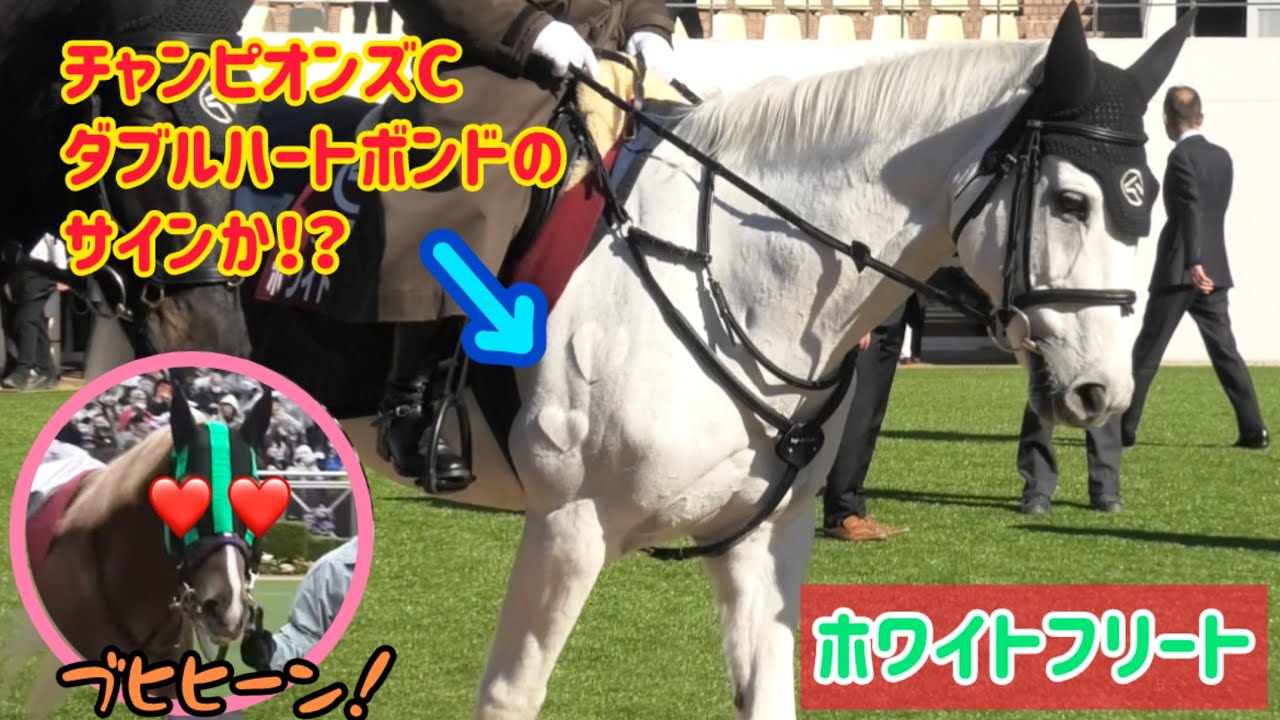 【誘導馬】バビットの最推しホワイトフリートのダブルハートが可愛かった❤️❤️