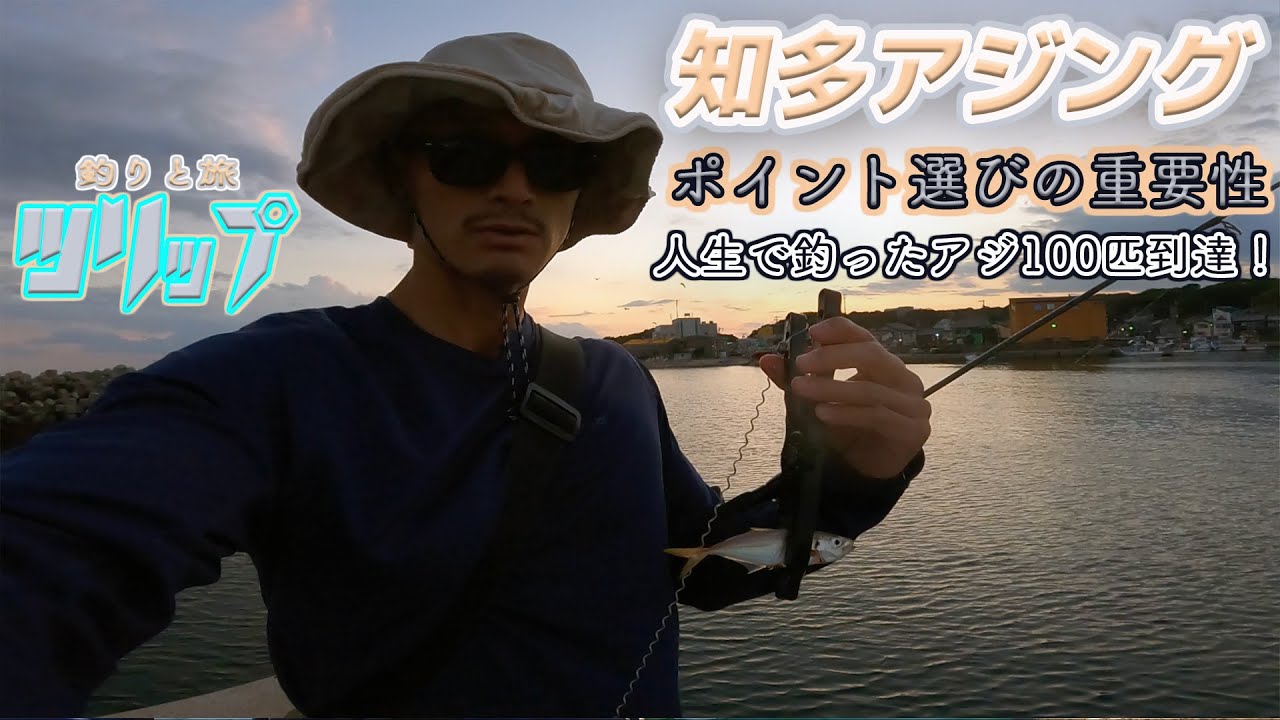 知多アジング  ポイント選びの重要性