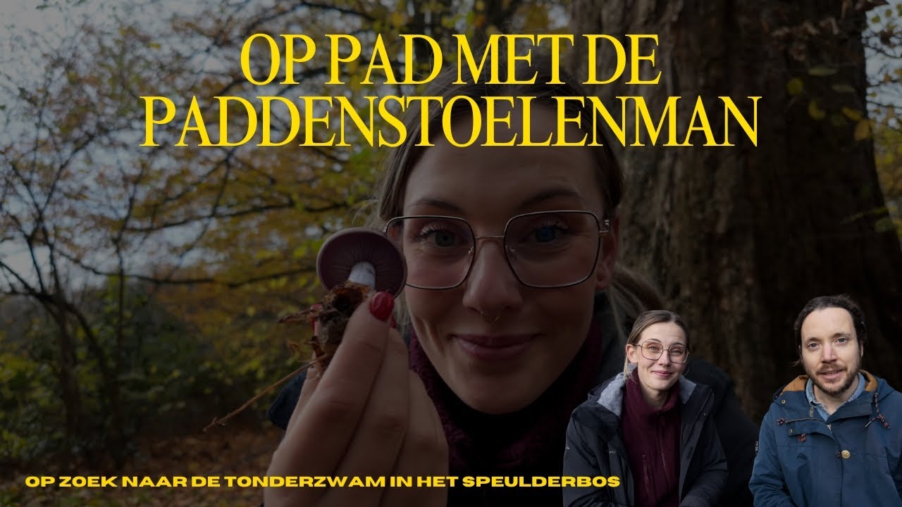 Op pad met de Paddenstoelenman – op zoek naar de tonderzwam in het Speulderbos 🍄