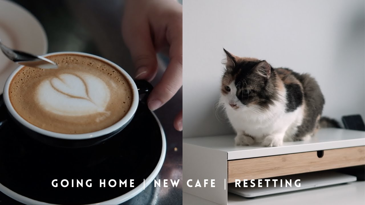October Vlog | Lockdown Lifted, Going Home, New Cafe (Relaxing Silent Vlog #2)
