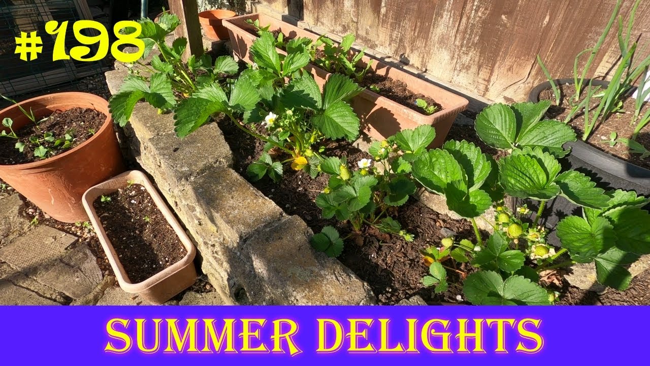 # 198 | Greenhouse protection & seeds