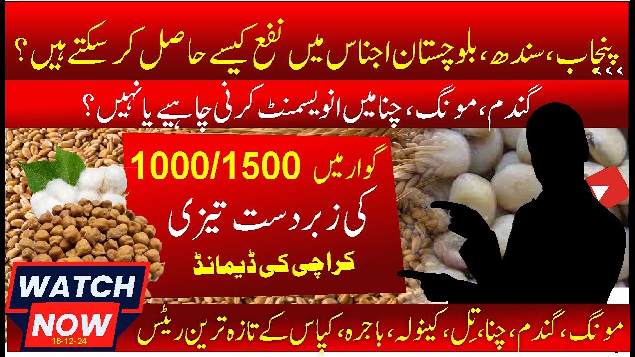 Today profit taken in pakistan | guar price & report | kala chana rate | moong price | bajra rate