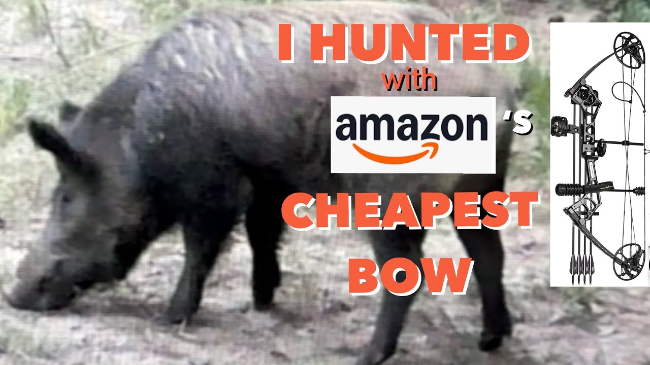 Amazon Cheapest Bow Hunting Challenge - Wild Hog Hunt - Amazon Budget Bow! 🏹  You can Win the Bow!