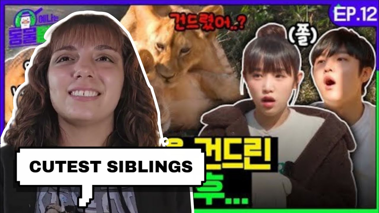 CHOI YENA Animal Detective (EP.12) & SPECIAL | IZ*ONE REACTION