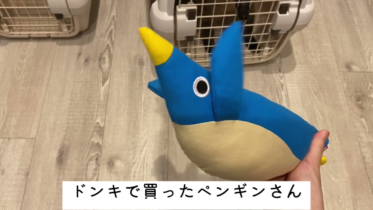 ［リッチェルキャリー］SサイズとMサイズ比較【小型犬・猫用】