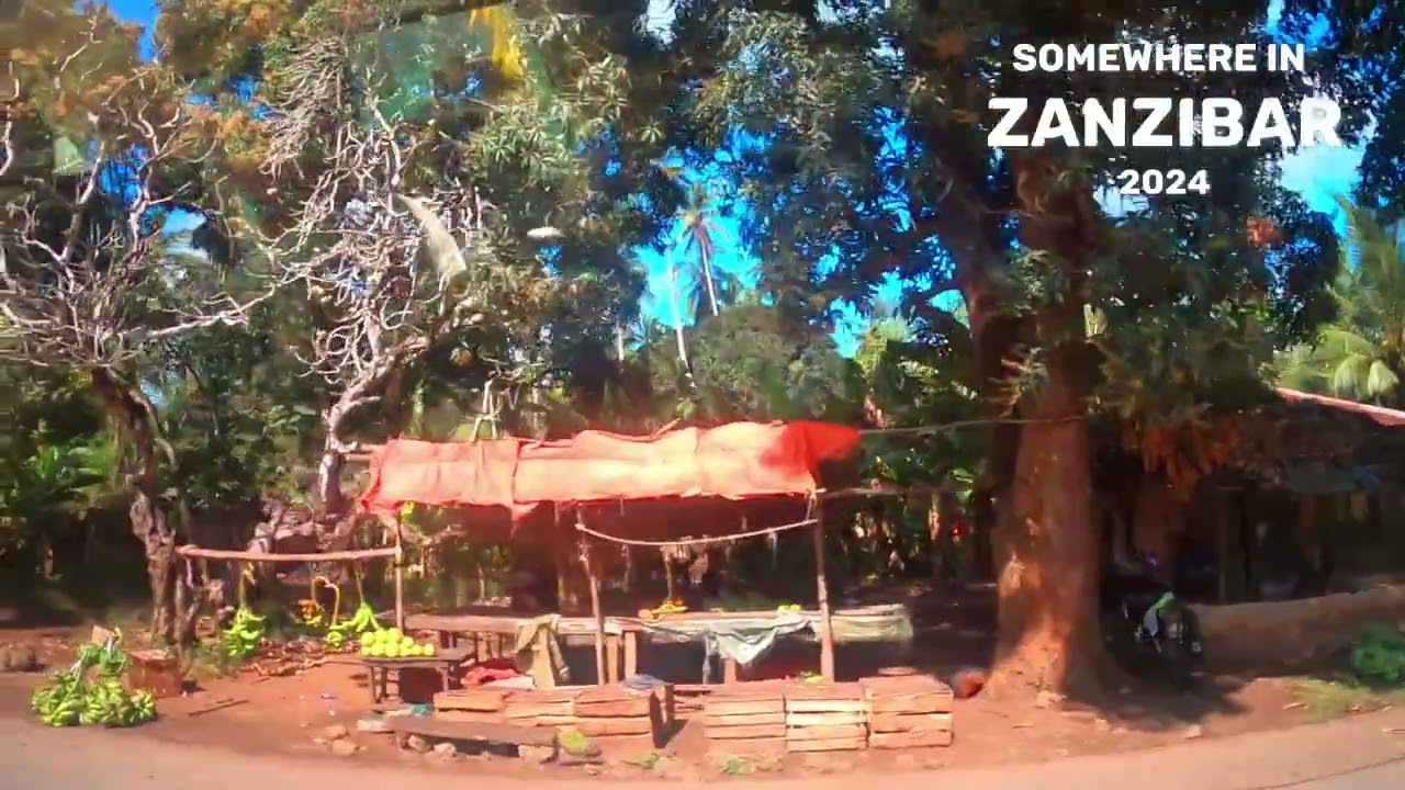 Somewhere in Zanzibar – Driving View from the Side Window vol 1