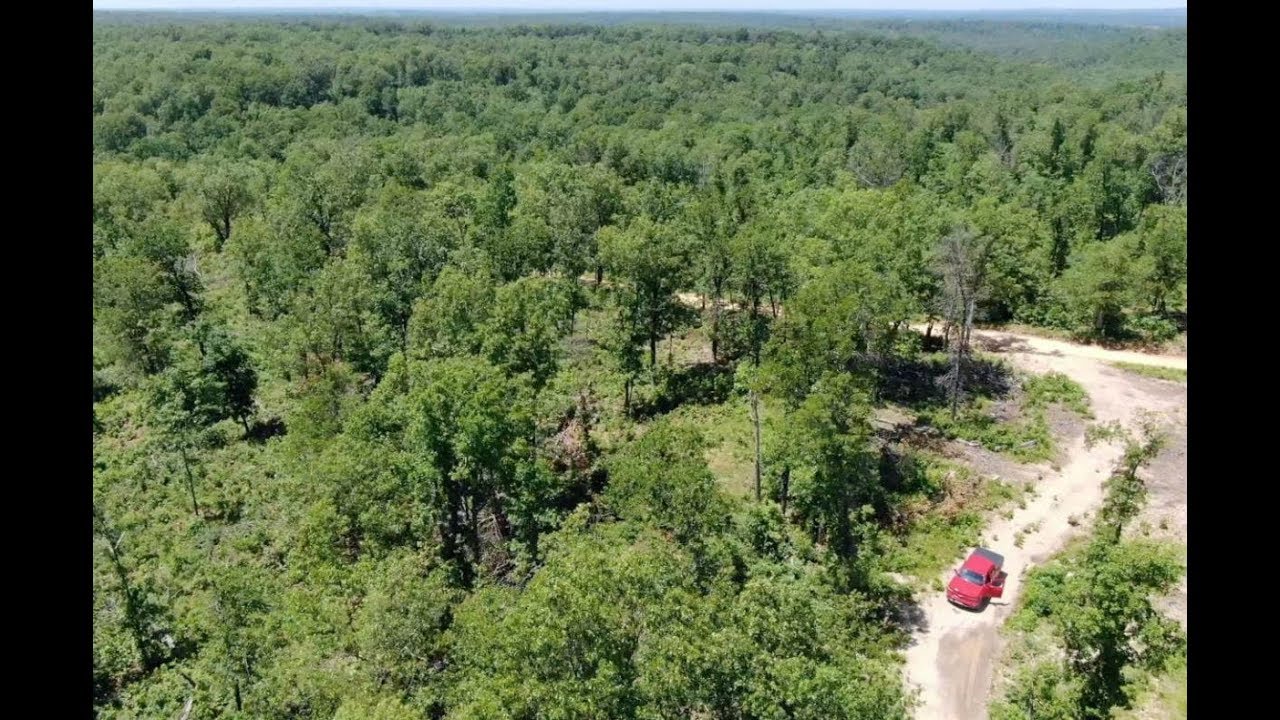 9 acres by State Park for $500 down - Owner Financed Land For Sale - ID#BS01 - InstantAcres.com