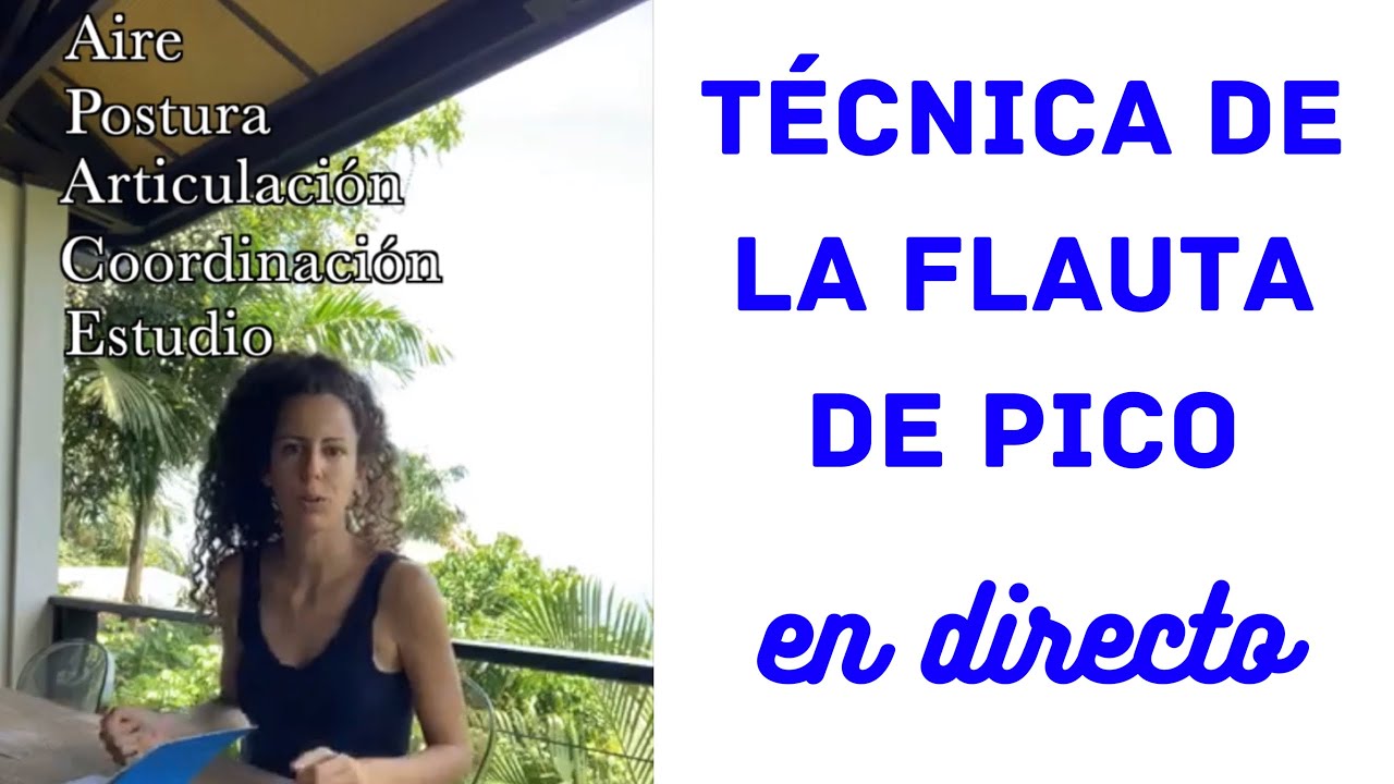 T&eacute;cnica de la flauta de pico (flauta dulce): aire, postura, articulaci&oacute;n, coordinaci&oacute;n, estudio