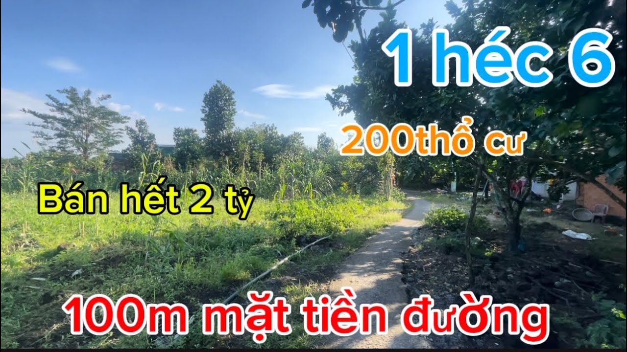 Cần bán 1 héc 6 có 200m thổcư 100m mặt tiền đường có ao cá 🎣 giá bán 2 tỷ 