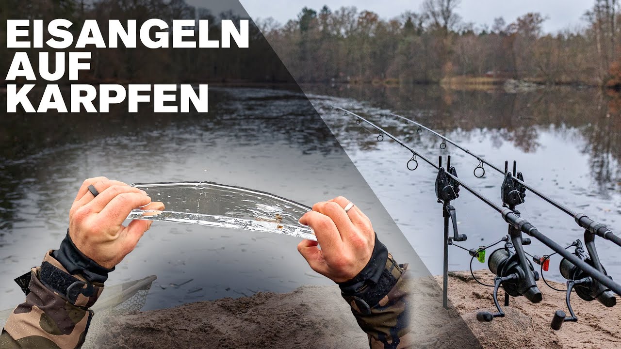EISANGELN auf Karpfen 🥶 So fängst du im Winter richtig 🙌