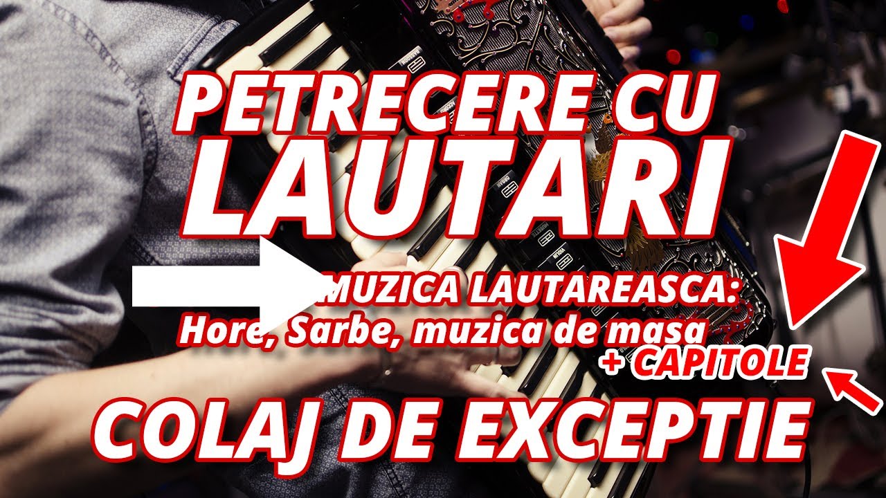 Neluta Bucur cea mai frumoasa muzica lautareasca acordeon & clarinet,hora de joc