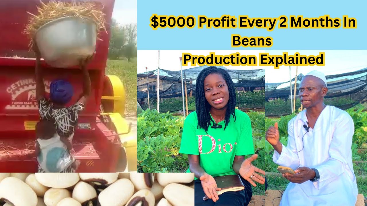 The businessman explained the cost of bean production and the profit made every in Ghana