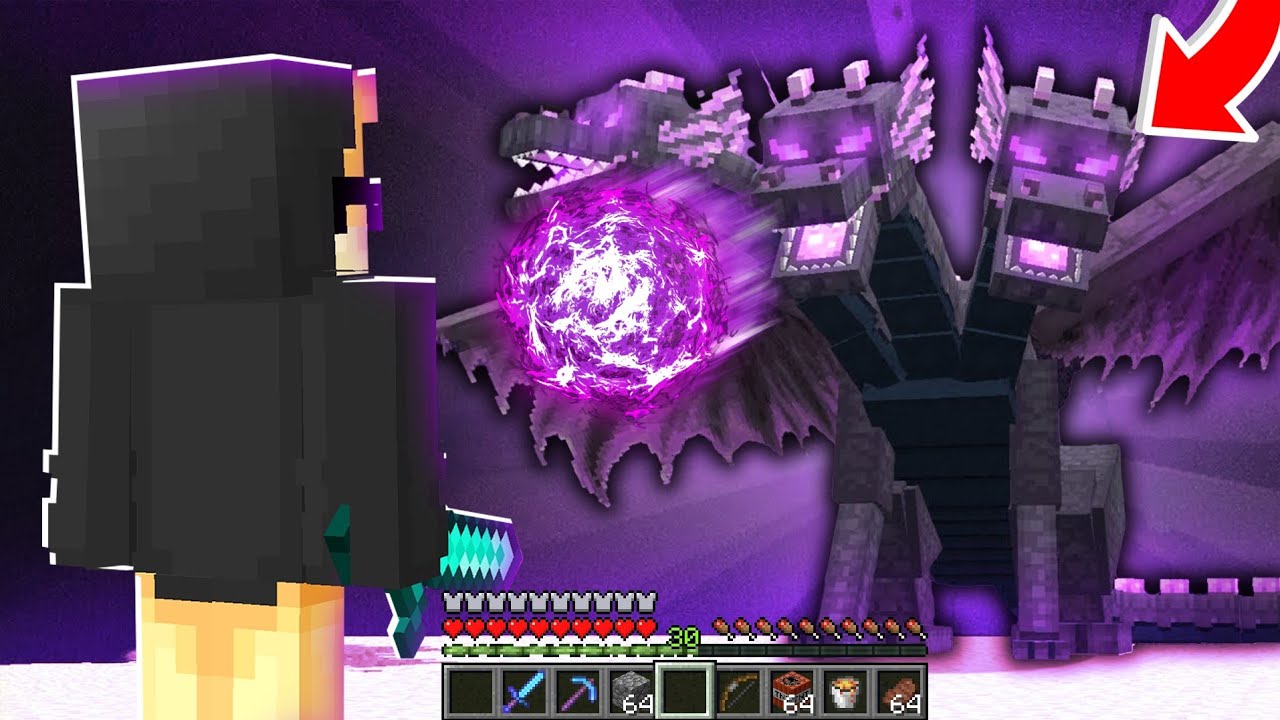 HO RESO L'ENDER DRAGON IMPOSSIBILE DA UCCIDERE SU MINECRAFT E...