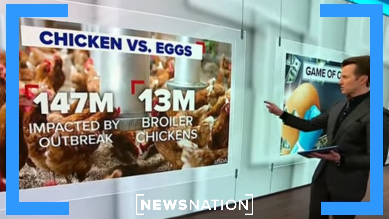 Egg prices soaring: What about chicken prices? | NewsNation Now