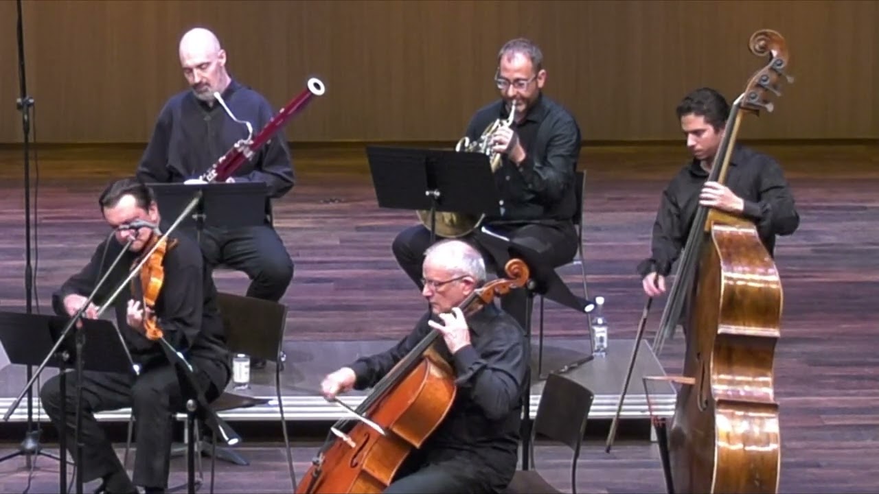 Johannes Brahms - Serenade Nr. 1 - Scherzo, Allegro - Camerata dei Castelli