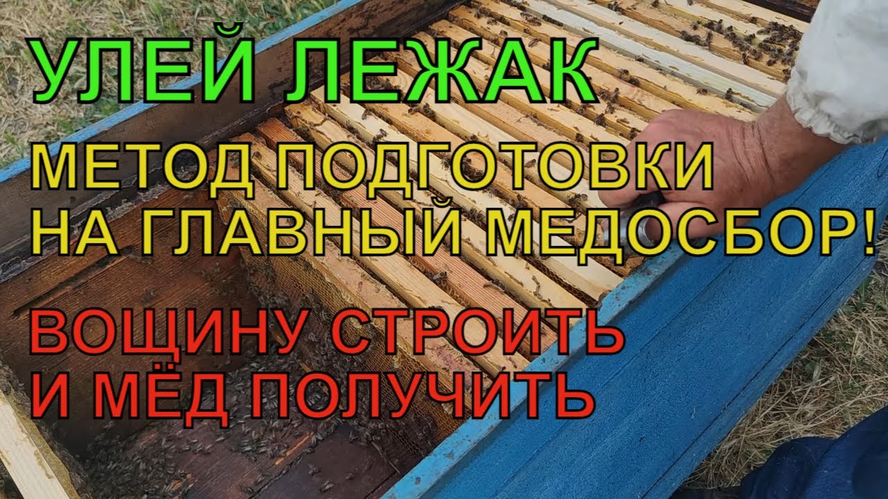КАК РАБОТАТЬ С ЛЕЖАКОМ на главный медосбор ДВА МЕТОДА И ВОЩИНУ ОТСТРОИТЬ И МЁД ПОЛУЧИТЬ ✅☝️🐝
