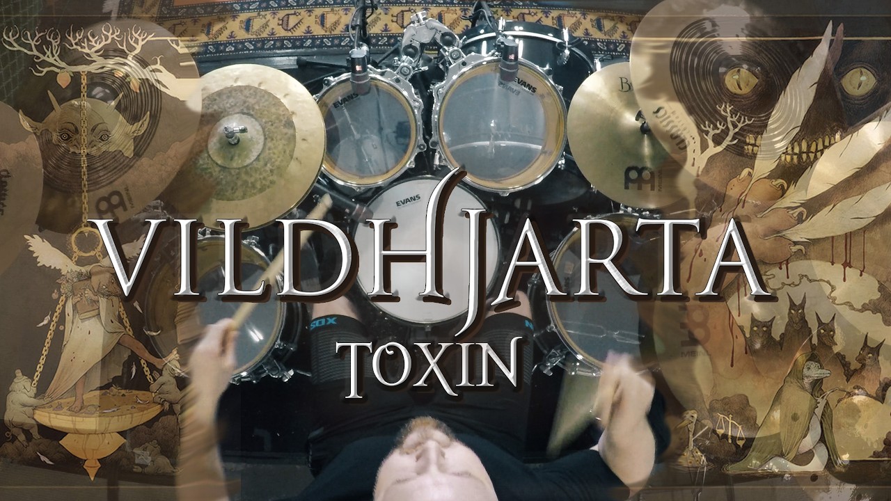 Alex Rudinger - VILDHJARTA - 