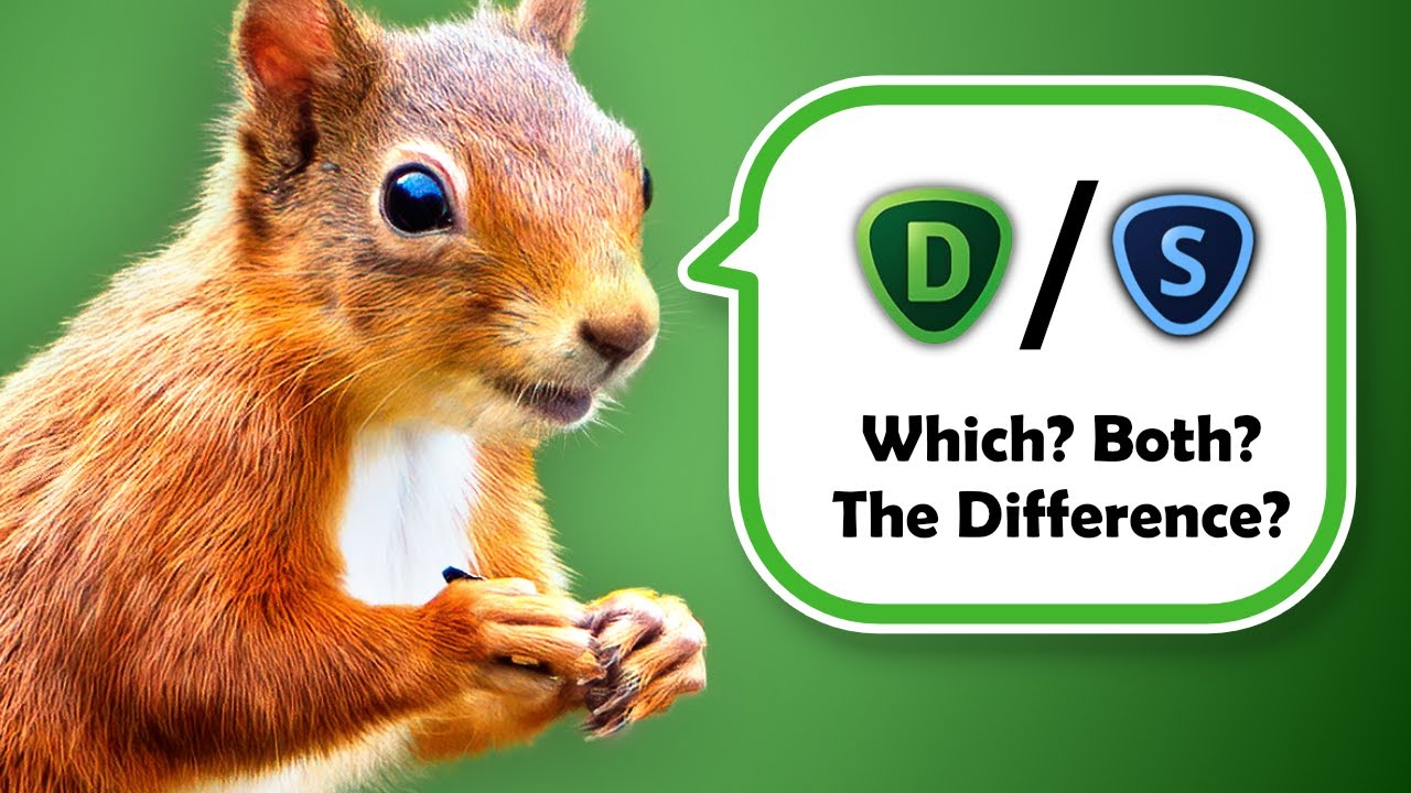 Denoise AI or Sharpen AI: Which one to use for Wildlife Photography?