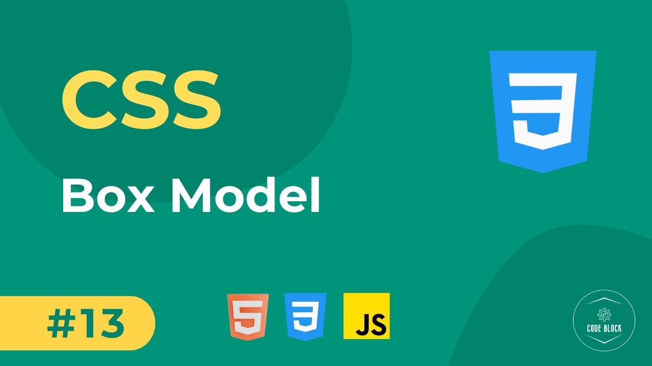 13 - CSS Basics - Box Model | Full Stack Web Development