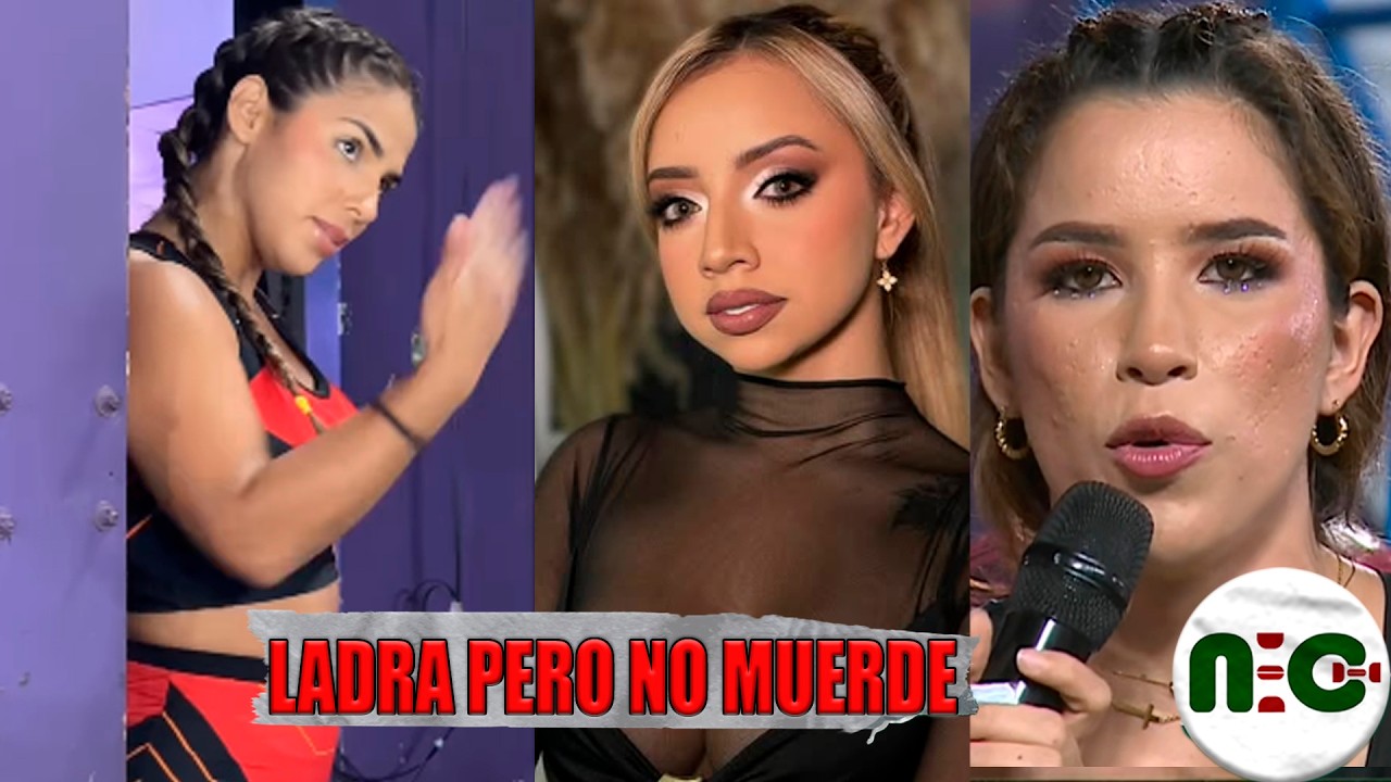 Joselyn es cobarde ¡Pura Boca! no sabe p3l34r dice Brillith