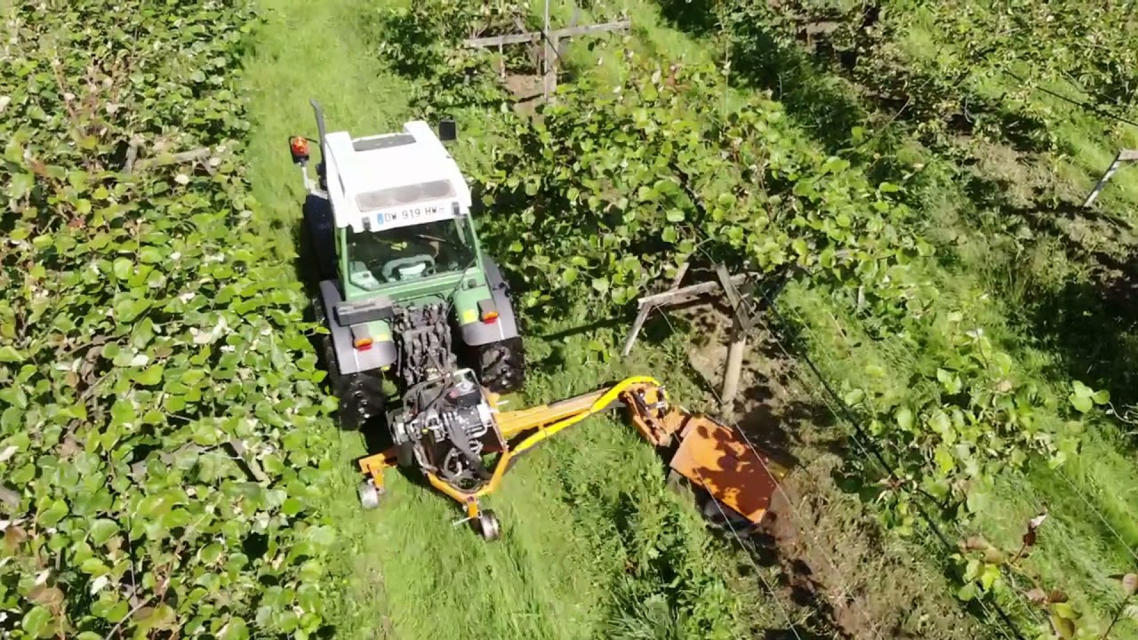 Désherbage mécanique kiwi Fendt 208 F + Débroussailleuse Berti