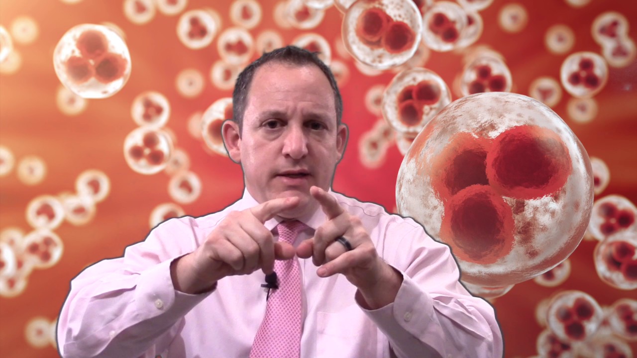 Top 5 Definitions of What's in Amniotic Stem Cell Therapy