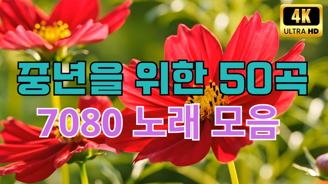 마음을 울리는 달콤한 한국 노래 모음 🎶 옛 시절이 그리운 7080을 들으면서  🎶 70년대와 80년대의 명곡들을 담은 시간 여행 플레이리스트