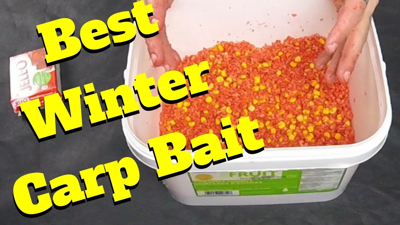 Best Carp bait for Winter