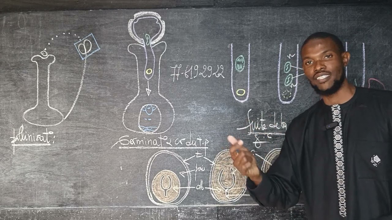 La double fécondation chez les spermaphytes (suite et fin)