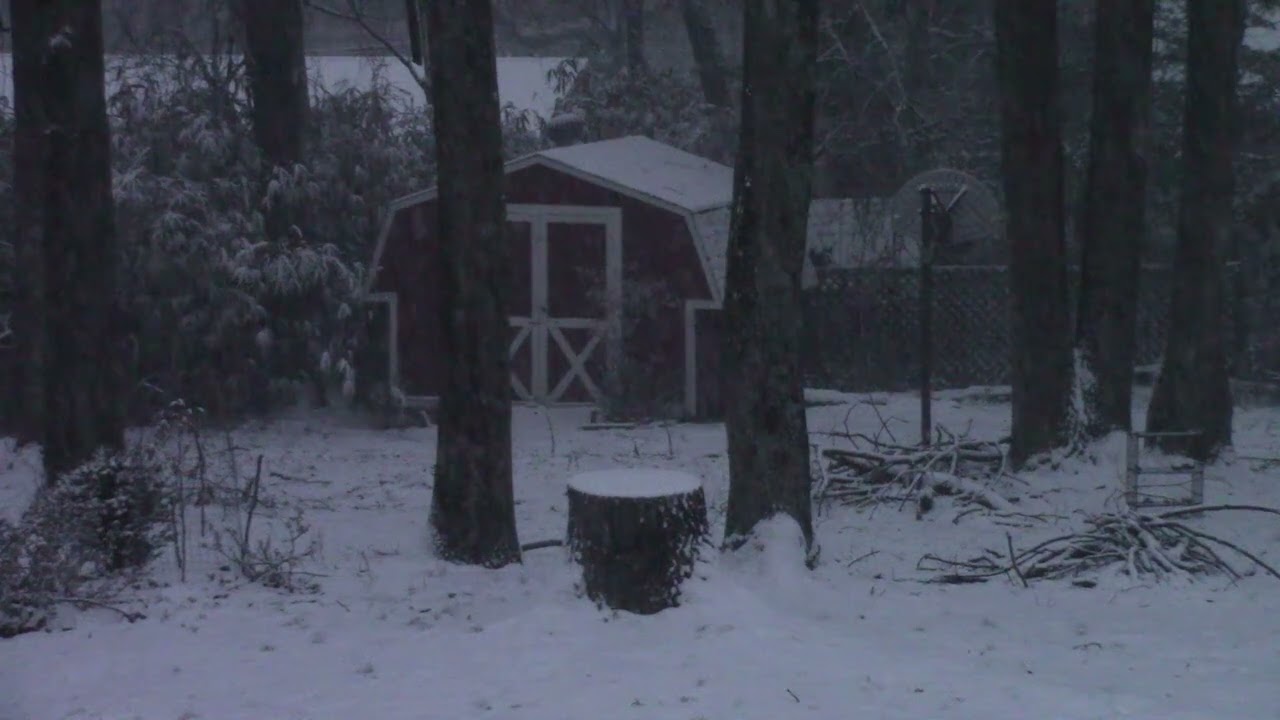 Snowy Backyard with the Sunsetting