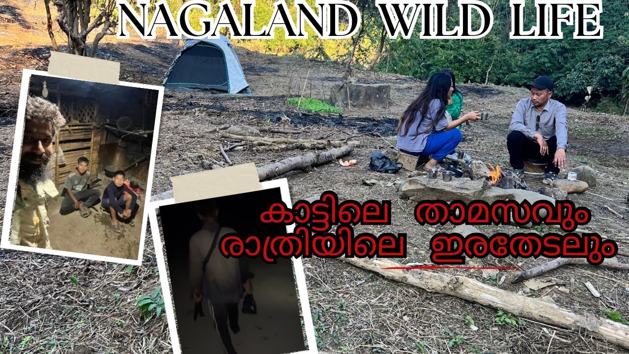 EP 243 | KONYAK TRIBE | രാത്രീയിൽ ഒരു വേട്ടക്ക്  ഇറങ്ങി ഞങ്ങൾ | ഇവരുണ്ടെങ്കിൽ കാട്ടിൽ എന്തും ആവാം |