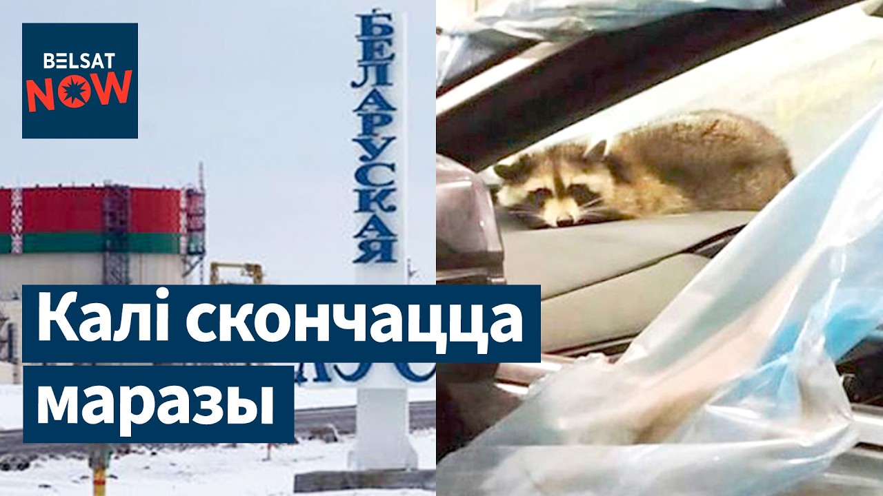 БелАЭС на ремонте. США больше не выдают виз беларусам. Необычный нелегал. Погода в Беларуси. Новости