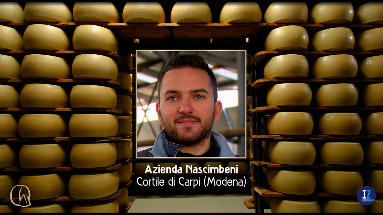 Azienda Nascimbeni, Cortile di Carpi. Grande attenzione ai foraggi e al benessere animale