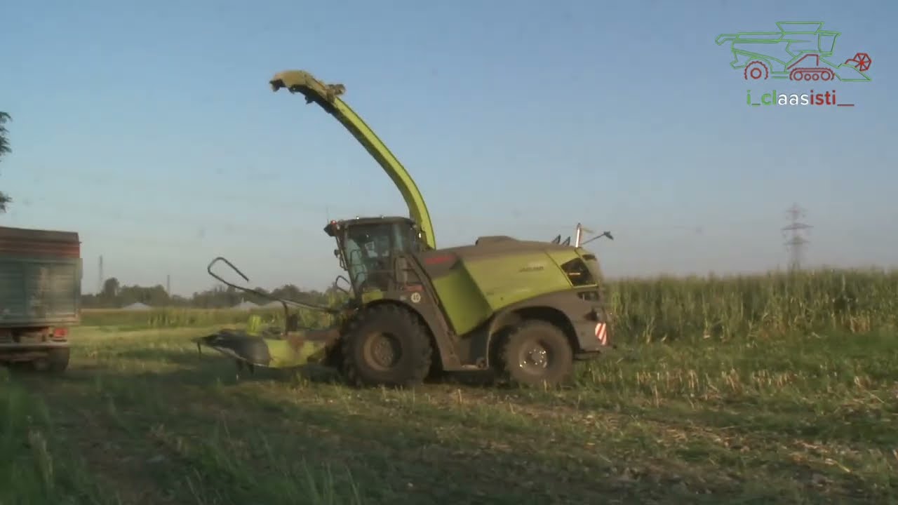 claas jaguar 980 special edition trinciatura mais 2025 