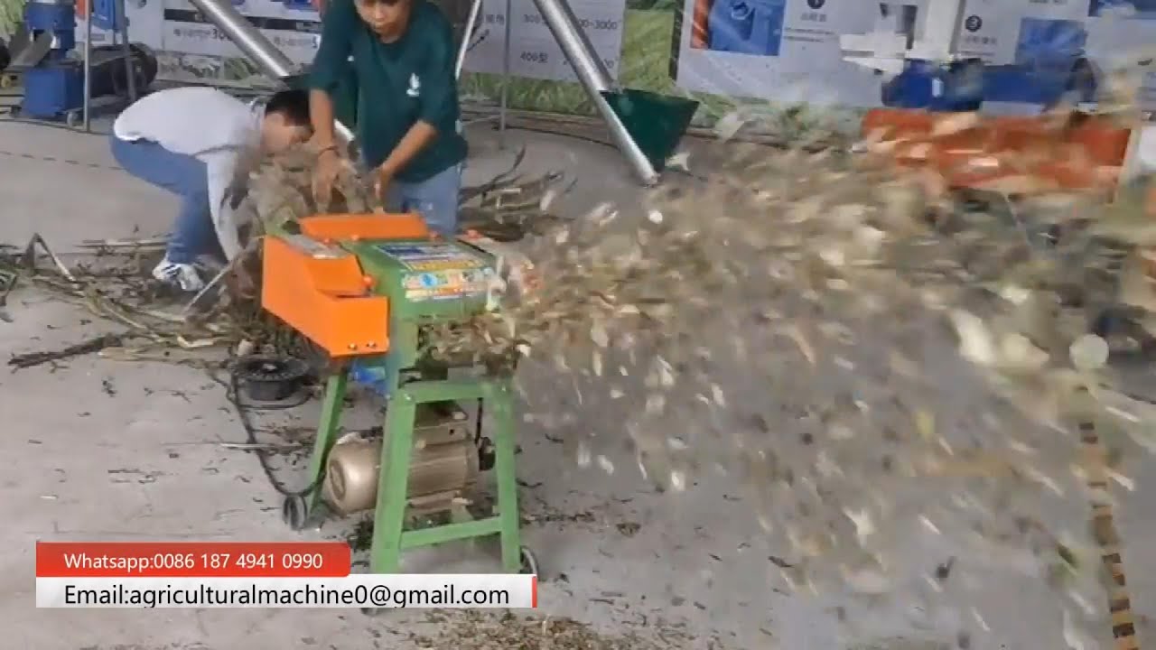 Small Grass Chopper Animal Feed Shredder Machine For Farm