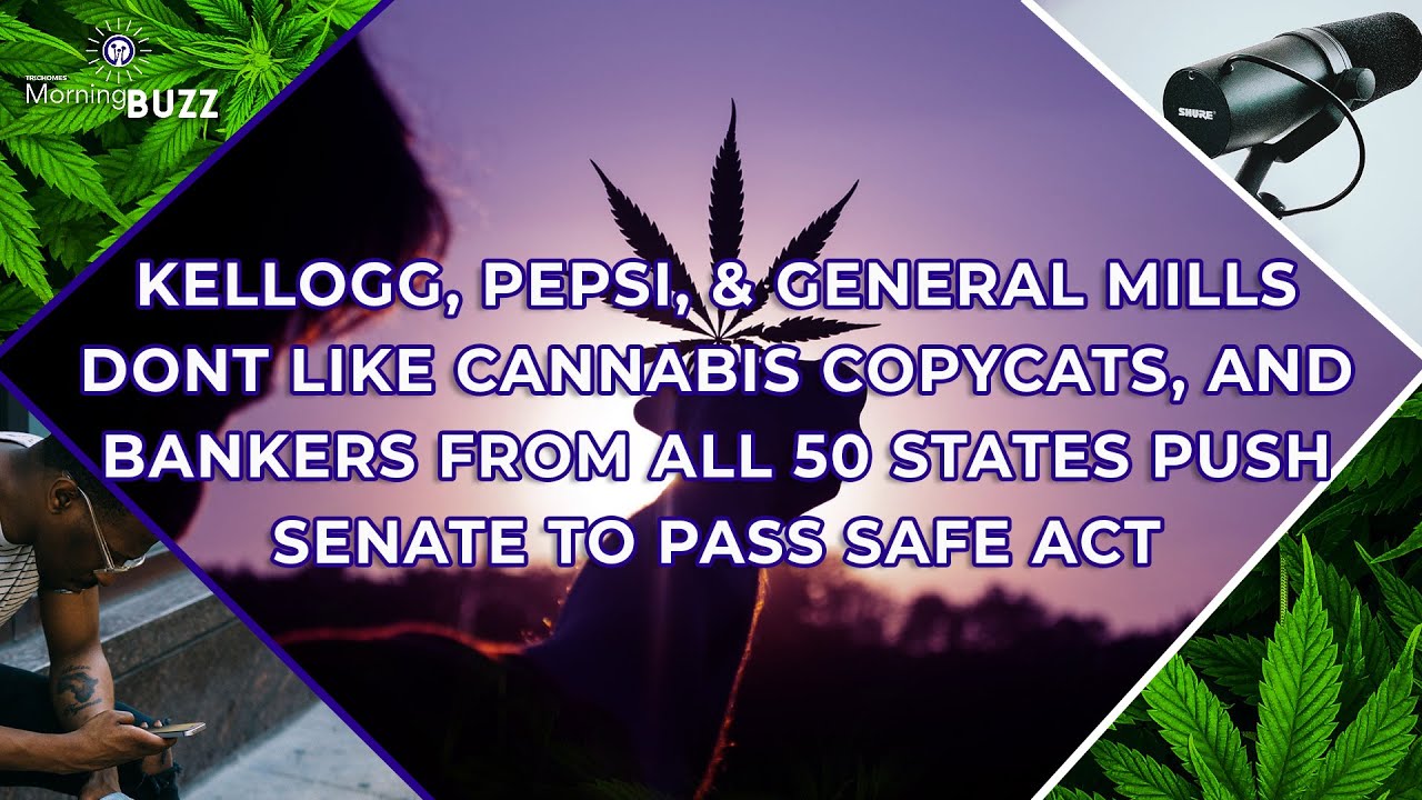 Today's Cannabis News And Federal Marijuana Legalization Update