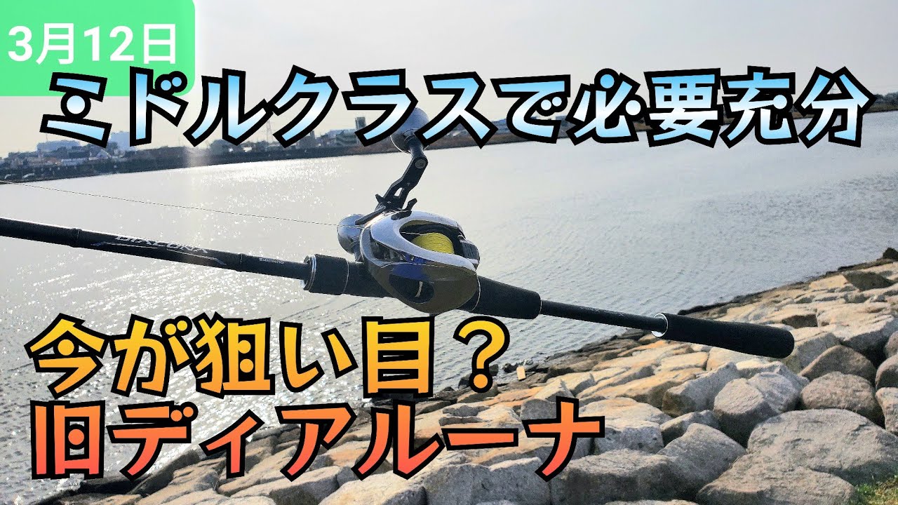 ディアルーナB86M、ミドルクラスでも必要充分ですかね〜？