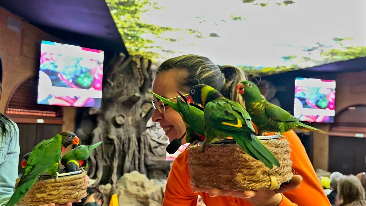 Loro Parque, Tenerife 