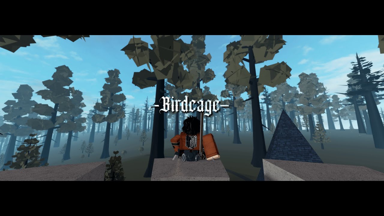 The Ninth Expedition | BIRDCAGE